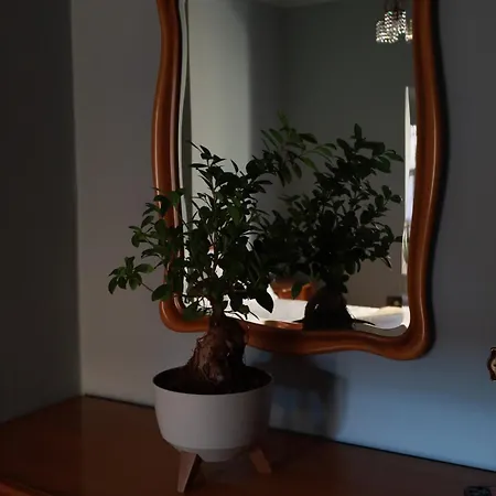 فيلة Casa - Vicino Orta San Giulio - 200 Sqm *
