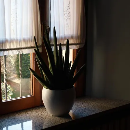 Casa - Vicino Orta San Giulio - 200 Sqm Villa *